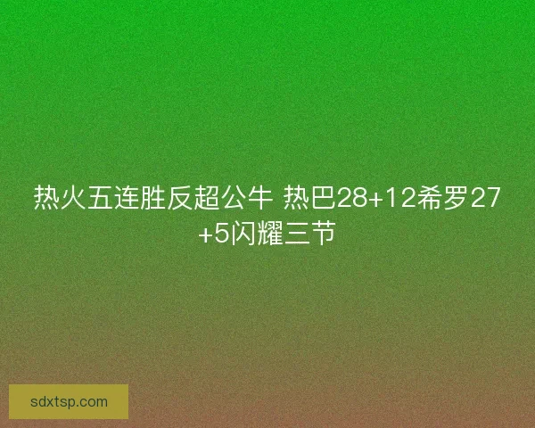 热火五连胜反超公牛 热巴28+12希罗27+5闪耀三节