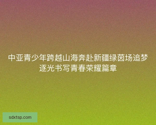 中亚青少年跨越山海奔赴新疆绿茵场追梦逐光书写青春荣耀篇章